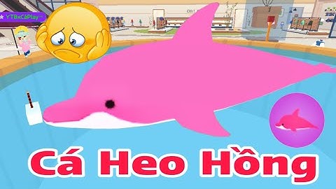 (Play Together) 24h Đi Săn Lên Cá Heo Hồng Rất Hiếm