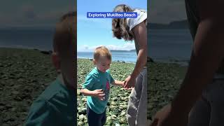 Exploring Mukilteo Beach at Lowtide #pacificnorthwest #pnw #beach #cute #toddlers