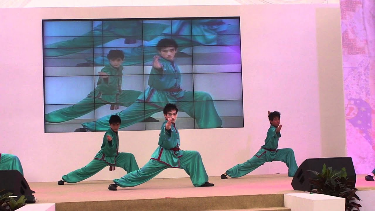 Chinese Martial Art Wushu "Dreams" by Zhong Hua Wushu Singapore