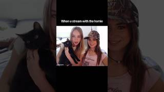 I stream on twitch: o7ivia #twitch #gamergirl #funny #shorts #cats