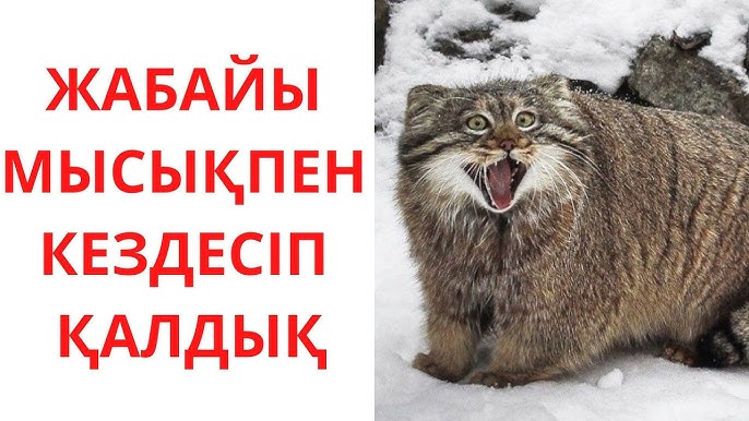 Невердегі секс