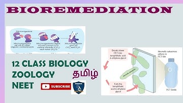 Bioremediation Tamil I Principles and Processes of Biotechnology I Botany I Class 12 |TNSCERT | NEET