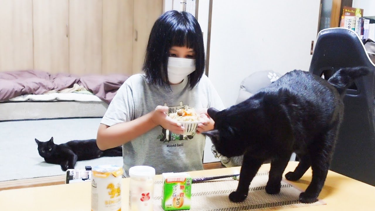 秋の味覚で猫と晩酌！ハチの群れと共存！