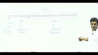 IEEE 754 Single Precision 32bit Standard notation of Binary - Advanced Level ICT