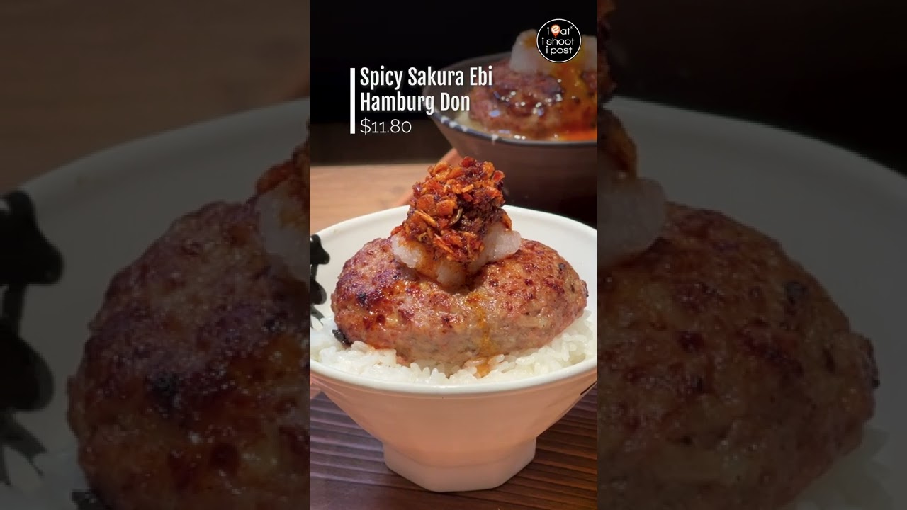 New Japanese Hamburg restaurant in Jurong Point Tsukimi Hamburg YouTube
