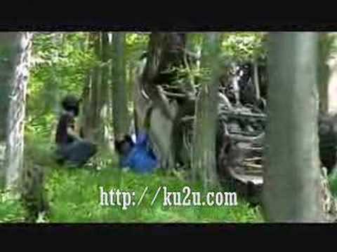 Funny 4x4 crash 4 tyre up