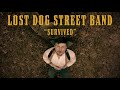 Lost dog street band  survived official music