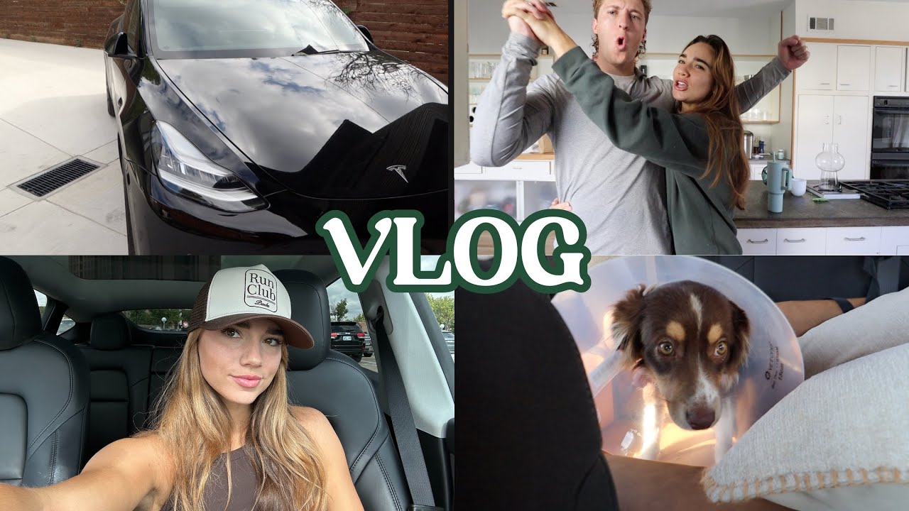 VLOG | mango gets surgery, huge closet clean out + my new car!!!!