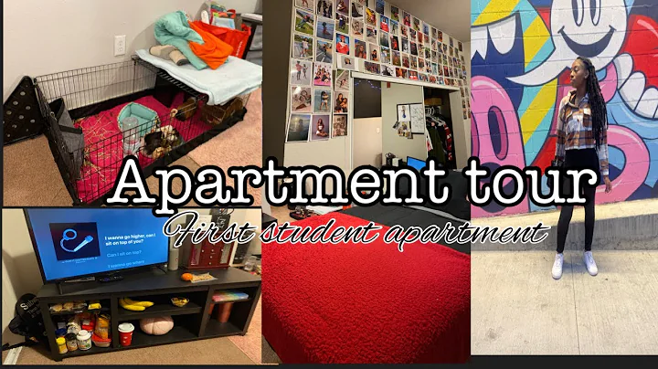 Apartment Tour Finally: College Edition