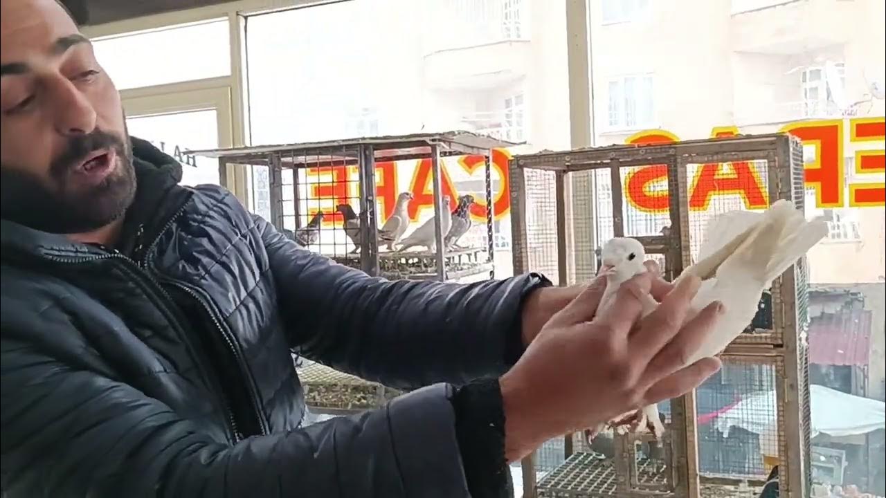 tek kan tek soy ne ararsan var metraj takla yok yok YouTube