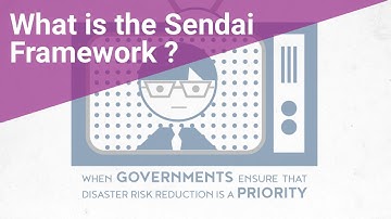 Sendai Framework Priority 2: Strengthening disaster risk governance to manage disaster risk