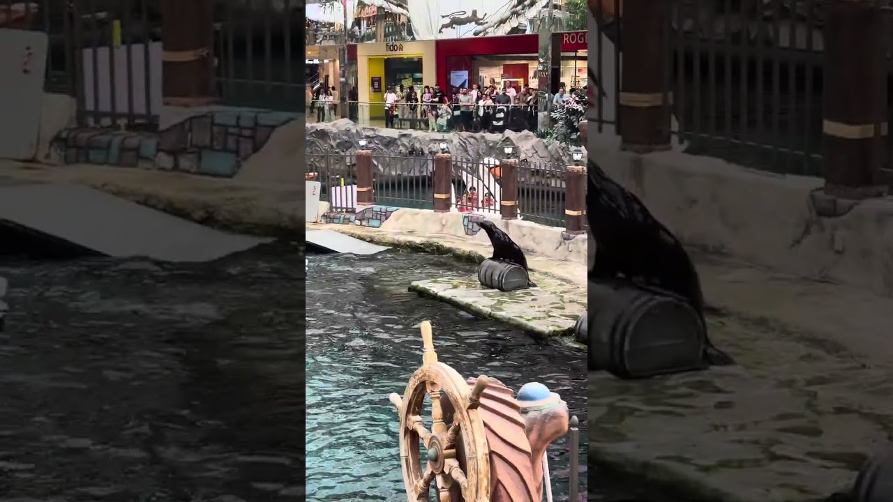 West Edmonton Mall. Biggest in North America 🍁🍁