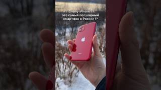 iPhone 11 - ТОП за свои деньги !?