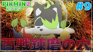 【#ピクミン2】前回でも苦労したのに今回はどうなるんだ…!!【こうの人】