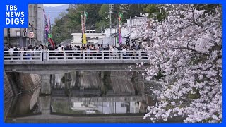 「これがないと春が来ない」5年ぶり復活の歌舞伎公演　香川・琴平町【令和のサクラ】