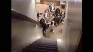 Marokkaan Roept Zijn Honden 1 Voor 1 Master