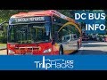 Hop On Hop Off Tours Vs. Public Buses in Washington DC
