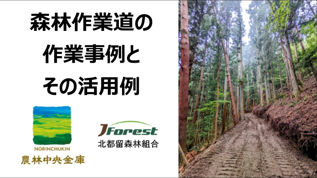 森林作業道の作業事例とその活用例　－　車両が走行できる森林作業道