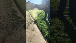 Lawn Edging Ep 5 - Quick String Trimmer Edging