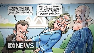 Cartoonists draw on Macron's 'delicious wife' comment