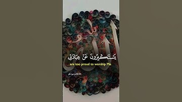 #القرآن_الكريم #اكسبلور #yasseraldossary #duet #المصحف #quran #دويتو #تلاوة_خاشعة #راحة_نفسية