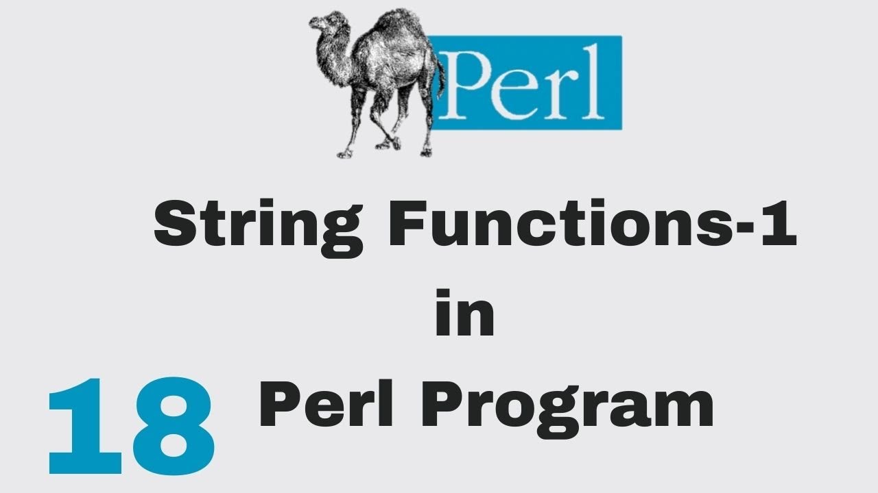Perl how to write a function reference