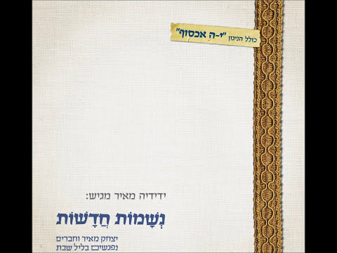 יצחק מאיר - יה ריבון (הרבי מפיטסבורג) | Yitzchak Meir - Ya Ribon (Pittsburgh)