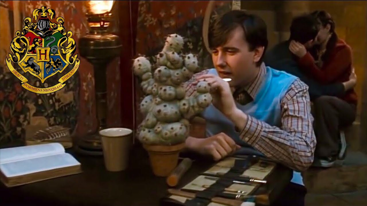 Harry Potter: “Gryffindor Common Room” (Deleted / Extended Scenes)