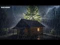 Rain Sounds for Sleeping - ASMR Rain and Thunder Sounds on Cabin Roof For Sleeping, Relaxing #Rain 3