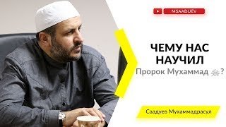 Чему нас научил Пророк Мухаммад ﷺ?