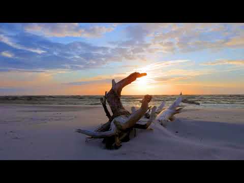 موسيقى جميلة على شاطئ البحر Nice Music On Sea Shore 