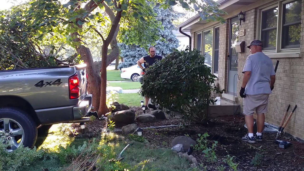 Pulling out bushes YouTube
