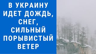 Погода на завтра, погода на 3 февраля