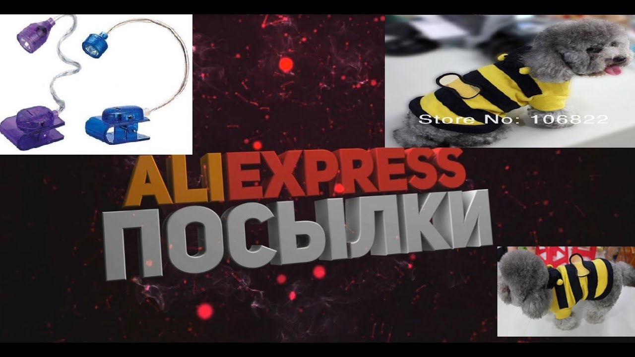 ALIEXPRESS ПОСЫЛКИ✈ Светильник для книги и прикольный костюм пчелки для собаки за 2$ #Karina платье халат