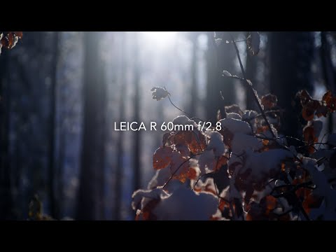 Leica R Macro 60mm f2.8 - YouTube