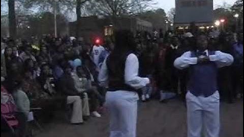 Phi Beta Chapter of Zeta Phi Beta Spring 2009 Probate Pt 3