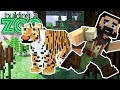 I'm Building A Zoo In Minecraft! - Tiger Exhibit And Contest Winner! - EP21