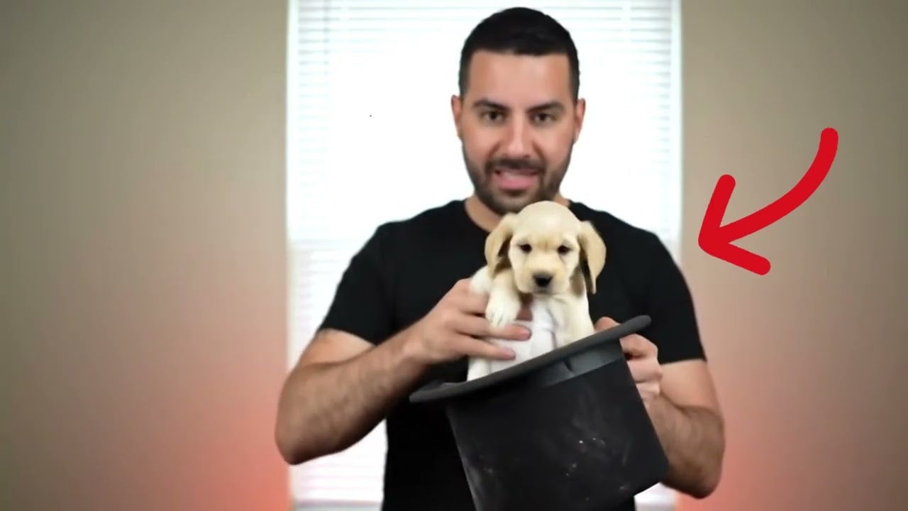 जादू से कबूतर को कुत्ता बनाया |  Magic | Kabutar ko kutta Banaya Magic Ai VIdeo