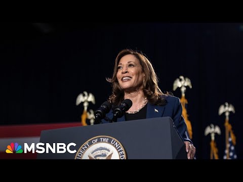 Vice President Harris' campaign cash: How her team stacked $200M in donations