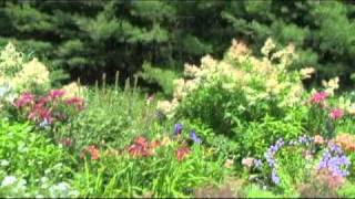 Perennial Display Gardens at Plant Paradise Country Gardens