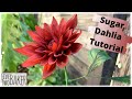 Sugar Dahlia Video Tutorial ⎮ How to make a realistic sugar dahlia flower ⎸Dalia Flower Tutorial