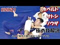 ホベルト・サトシ・ソウザRIZIN21柔術イリミネーションマッチ極め技解説
