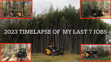 7 Jobs in 30 Minutes (Timelapse) 2023 Forestry Mulching