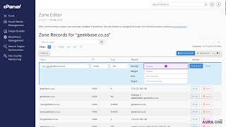 How to Add SRV and CAA Records in cPanel with Aura One