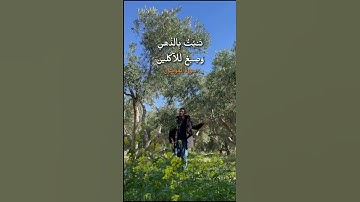 تلاوة مميزة لما تيسر من سورة المؤمنون - صوت هادئ | القارئ مشاري البغلي