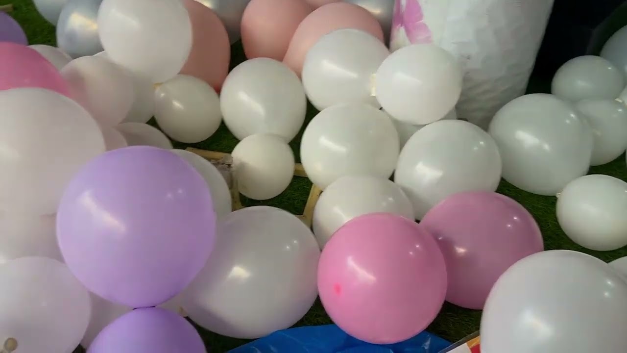 Butterfly theme decor