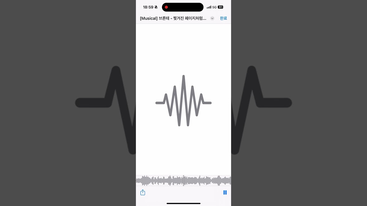 브론테 찢겨진 페이지 처럼 mr 