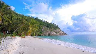 🏝 Crystal Turquoise Waters. Seychelles Beach 4K Profile