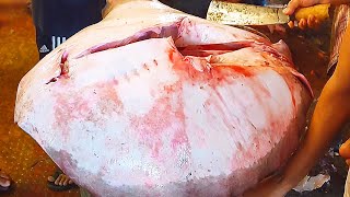 Giant Stingray Fish Cutting Skills Live In Fish Market | Amazing Fish Cutting Skills