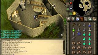 Monkey guards 60-100k xp/hr!